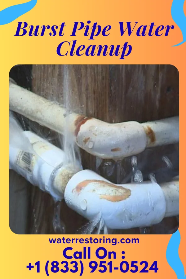 Burst Pipe Water Cleanup in Coloma, MI