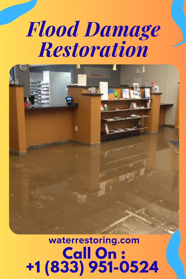 Flood Damage Restoration in Coloma, MI
